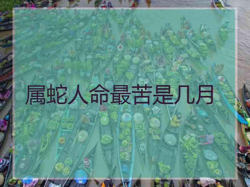 属蛇人命最苦是几月