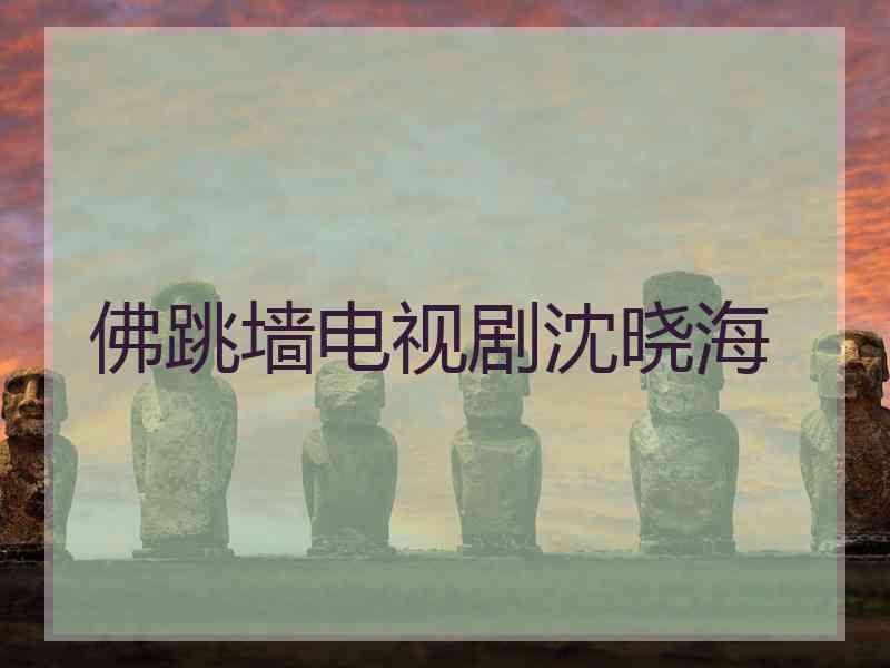 佛跳墙电视剧沈晓海