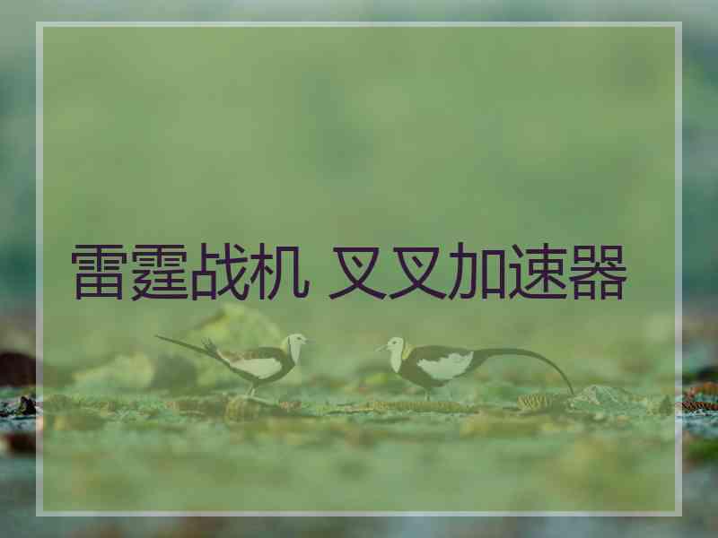 雷霆战机 叉叉加速器