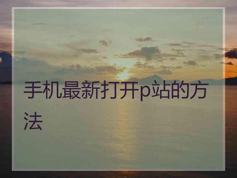 手机最新打开p站的方法