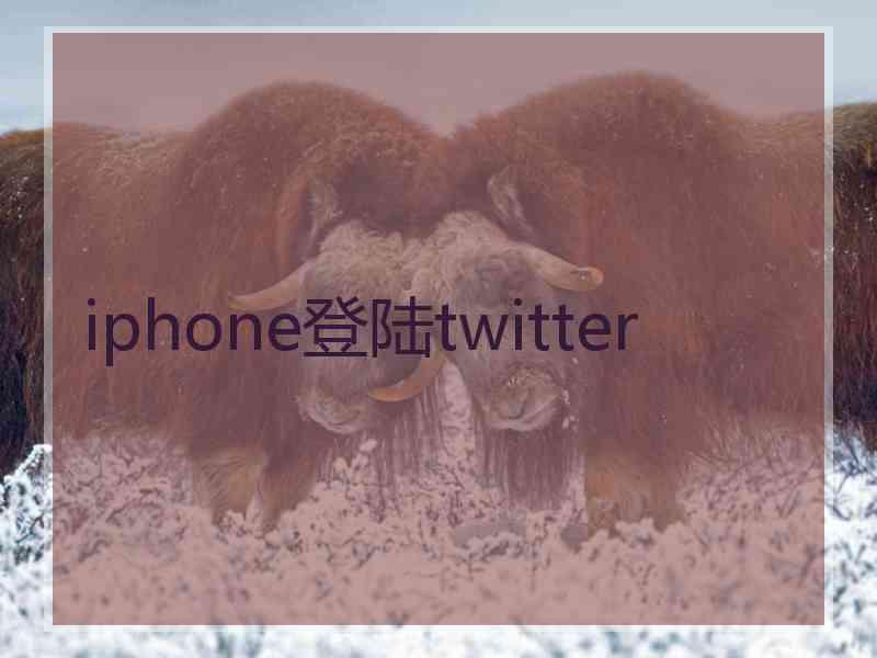 iphone登陆twitter