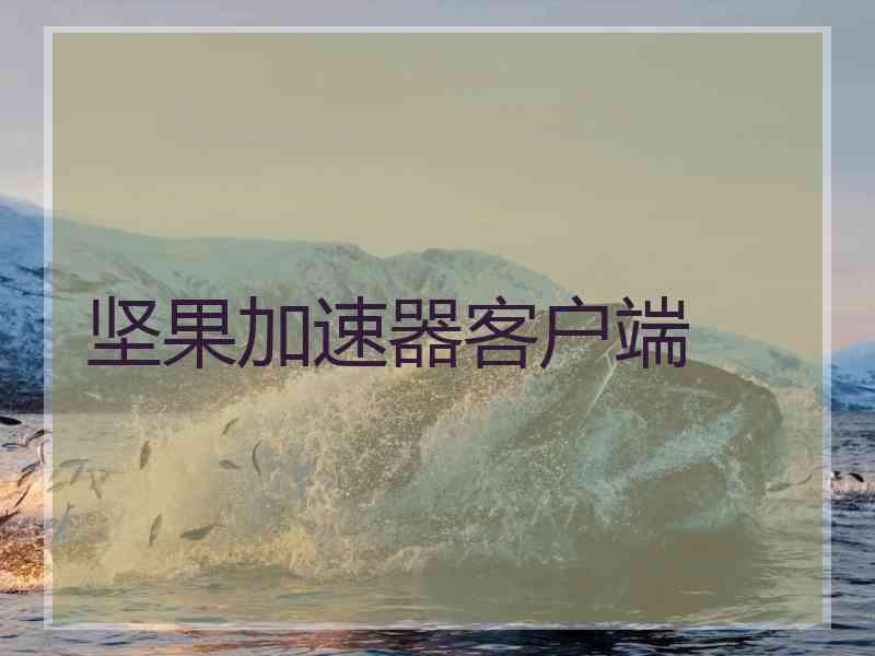 坚果加速器客户端