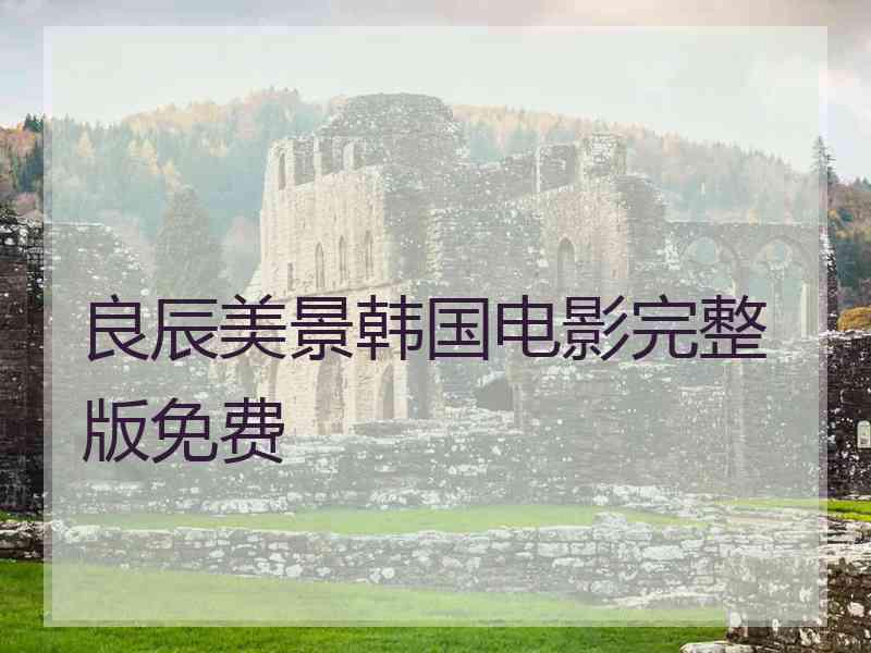 良辰美景韩国电影完整版免费
