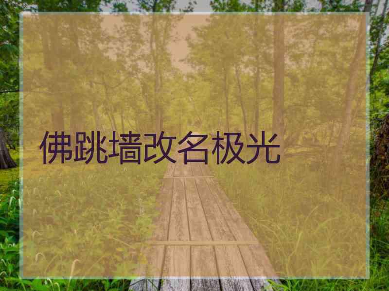 佛跳墙改名极光