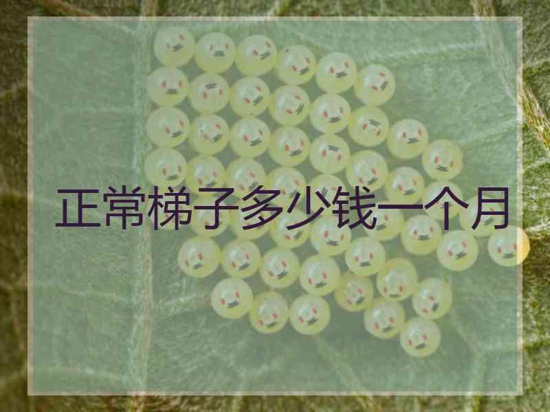 正常梯子多少钱一个月