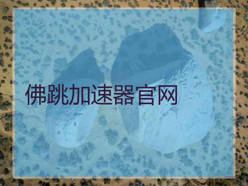 佛跳加速器官网