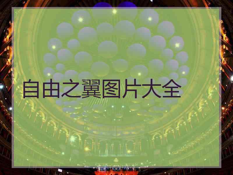 自由之翼图片大全