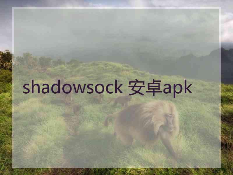 shadowsock 安卓apk