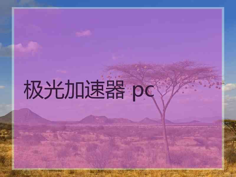 极光加速器 pc