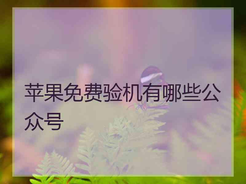 苹果免费验机有哪些公众号