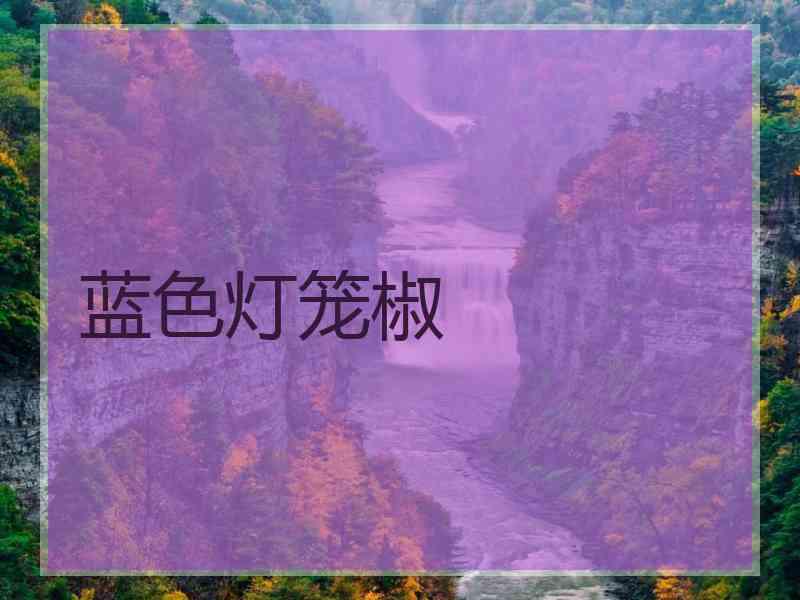 蓝色灯笼椒
