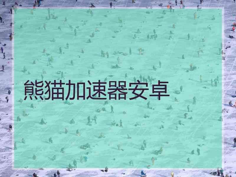 熊猫加速器安卓