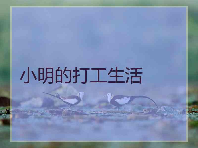 小明的打工生活
