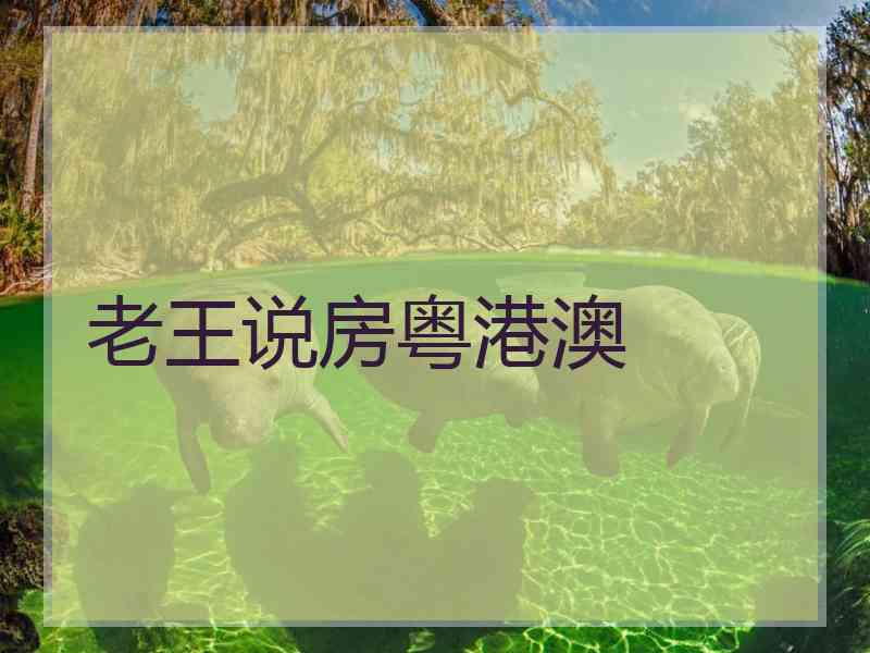 老王说房粤港澳