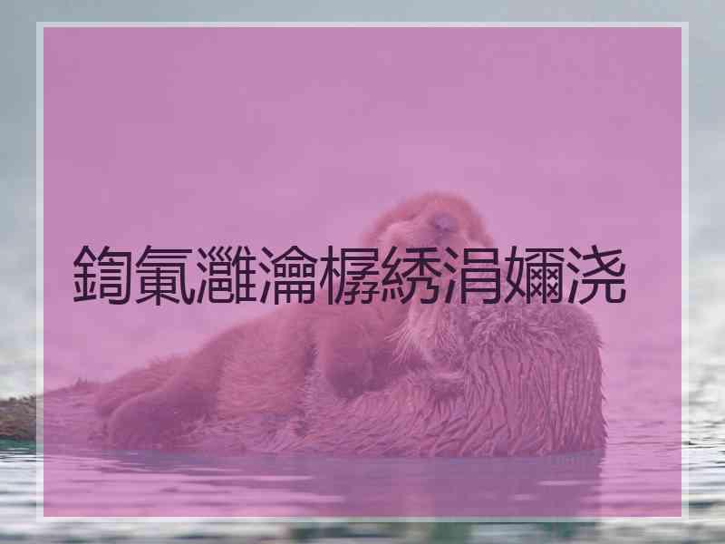 鍧氭灉瀹樼綉涓嬭浇