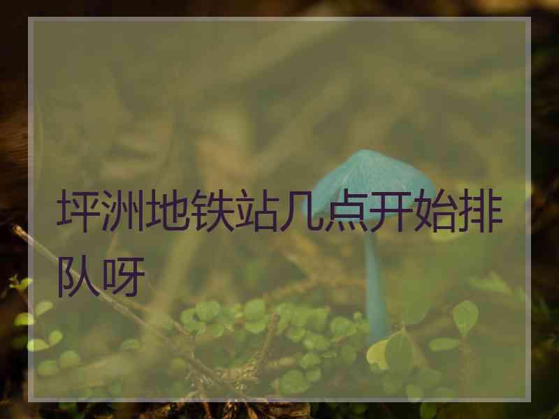 坪洲地铁站几点开始排队呀
