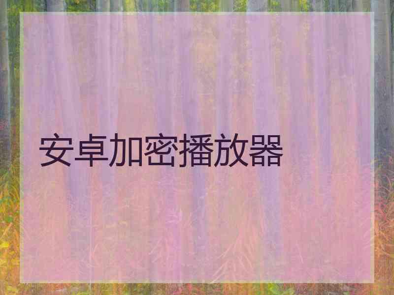 安卓加密播放器
