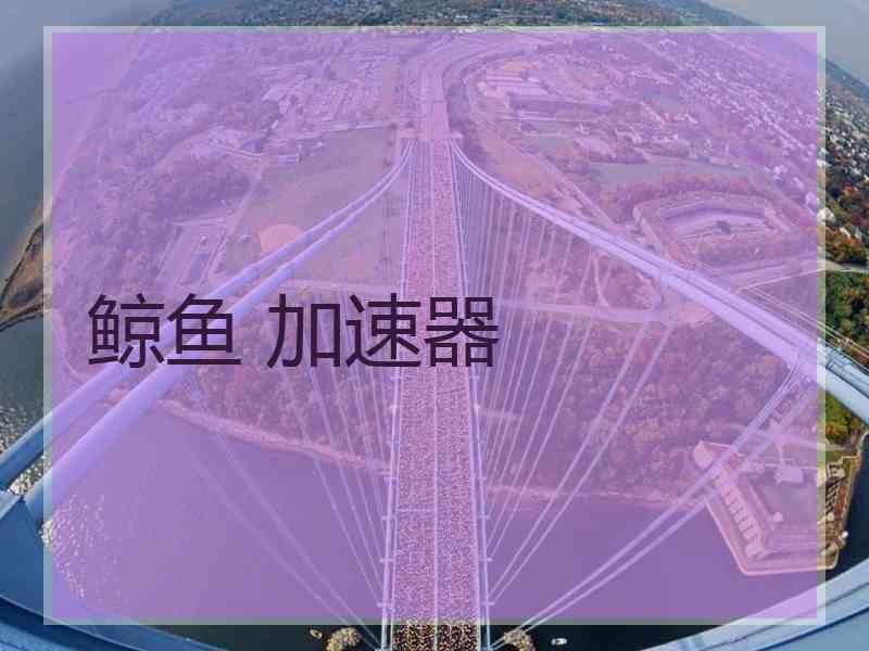 鲸鱼 加速器
