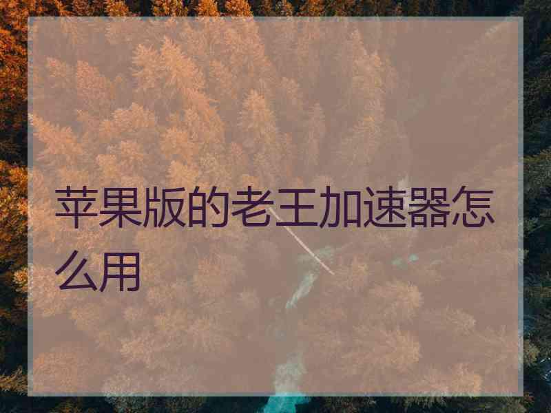 苹果版的老王加速器怎么用