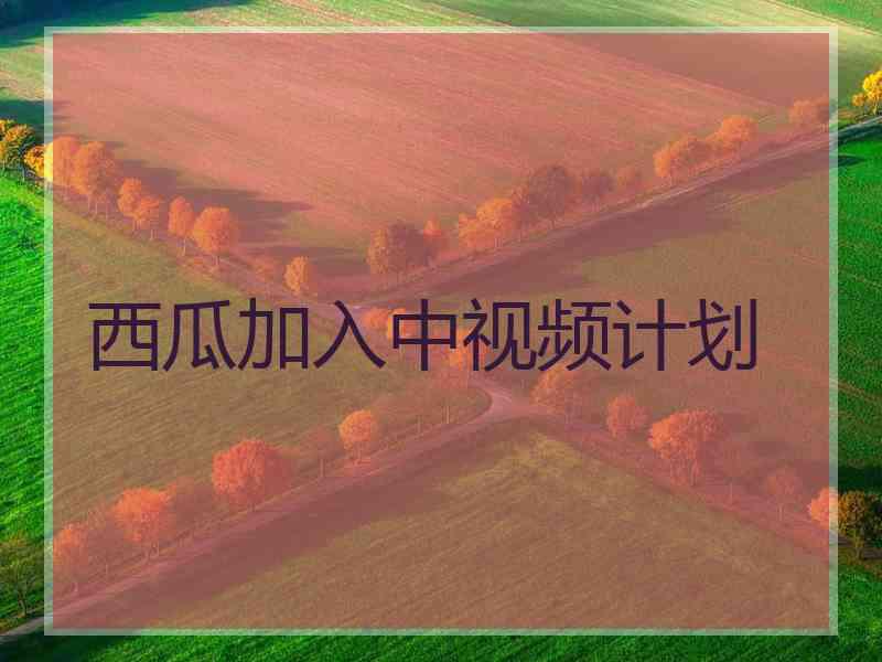 西瓜加入中视频计划