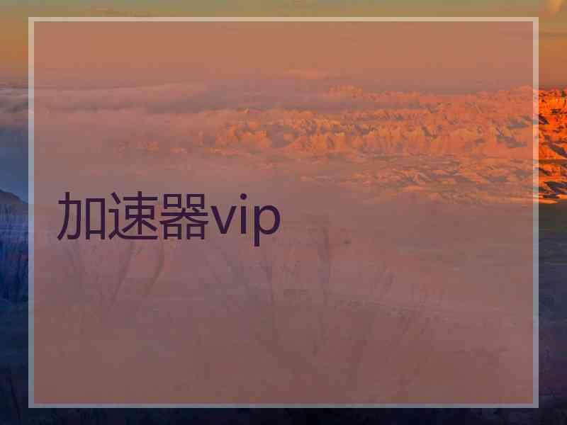 加速器vip