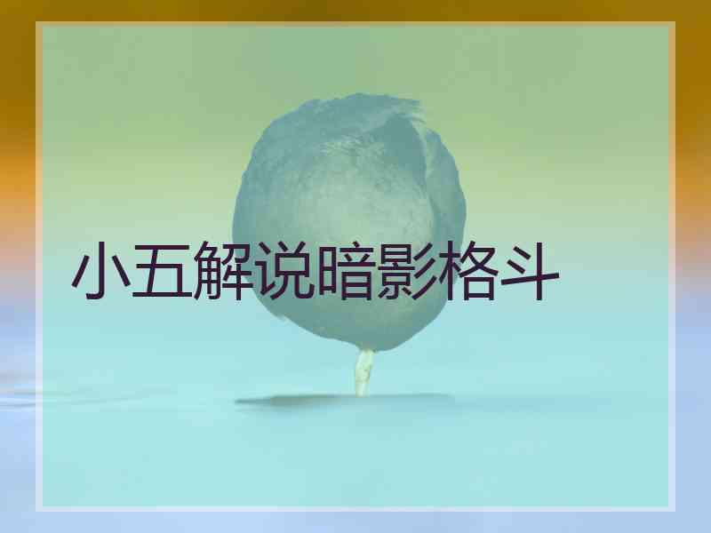 小五解说暗影格斗