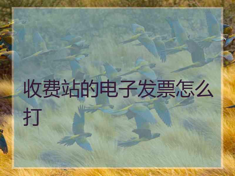 收费站的电子发票怎么打