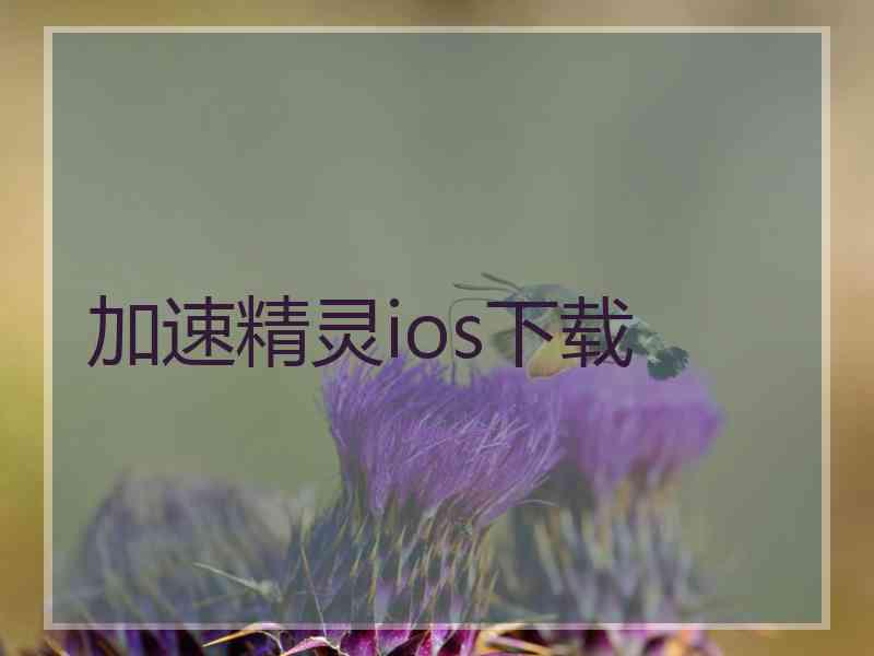 加速精灵ios下载