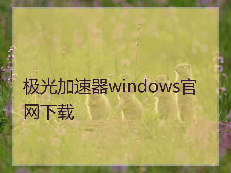 极光加速器windows官网下载
