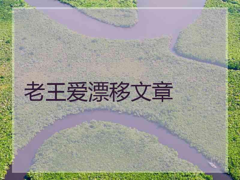 老王爱漂移文章