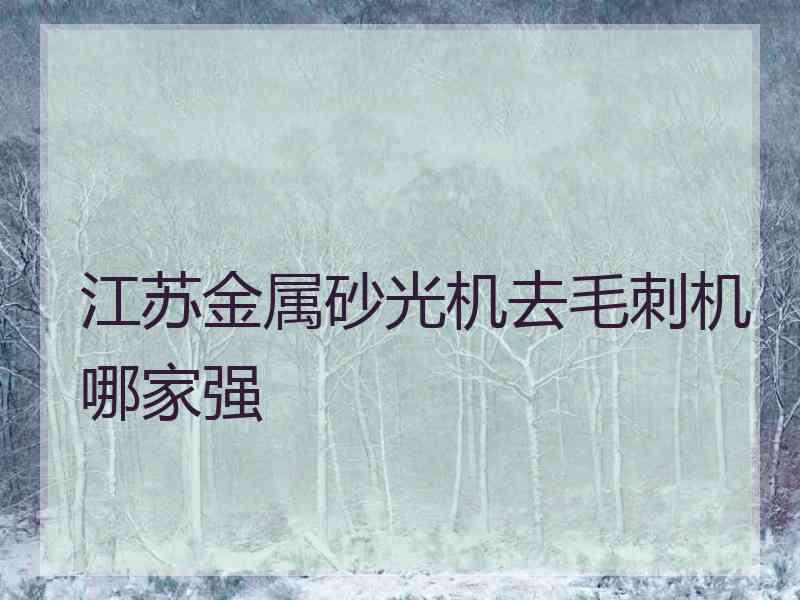 江苏金属砂光机去毛刺机哪家强