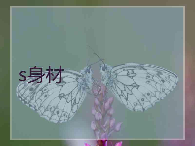 s身材