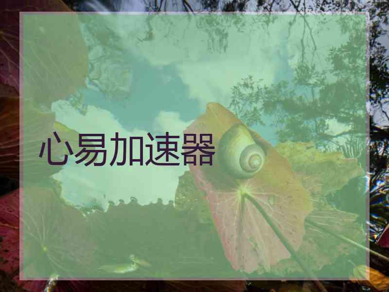 心易加速器