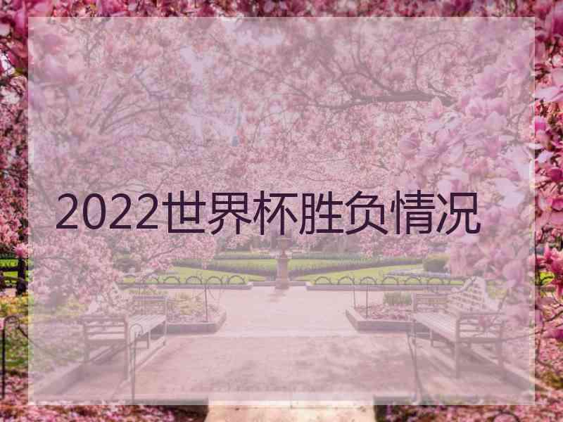 2022世界杯胜负情况