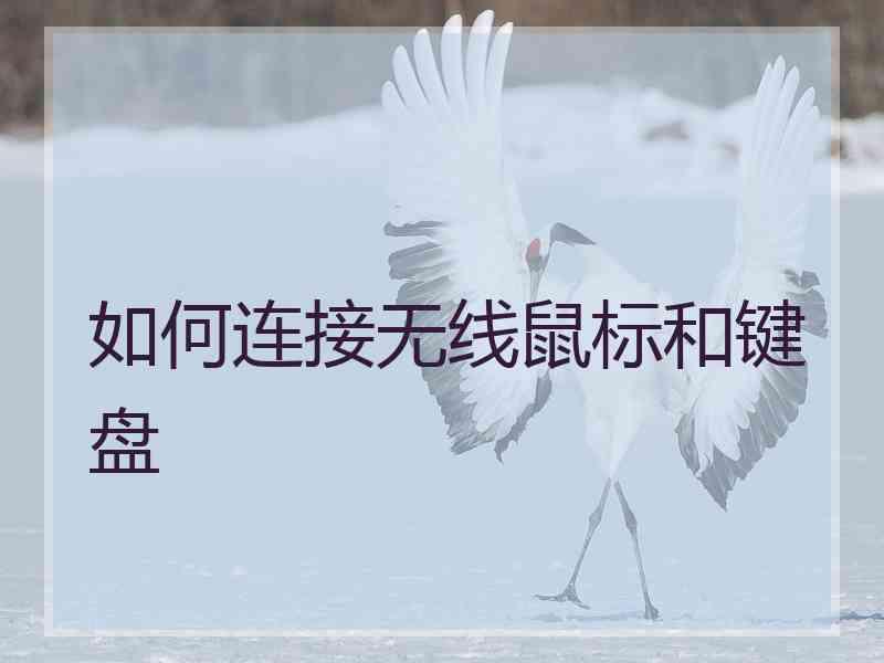 如何连接无线鼠标和键盘