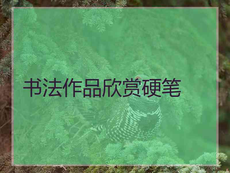 书法作品欣赏硬笔
