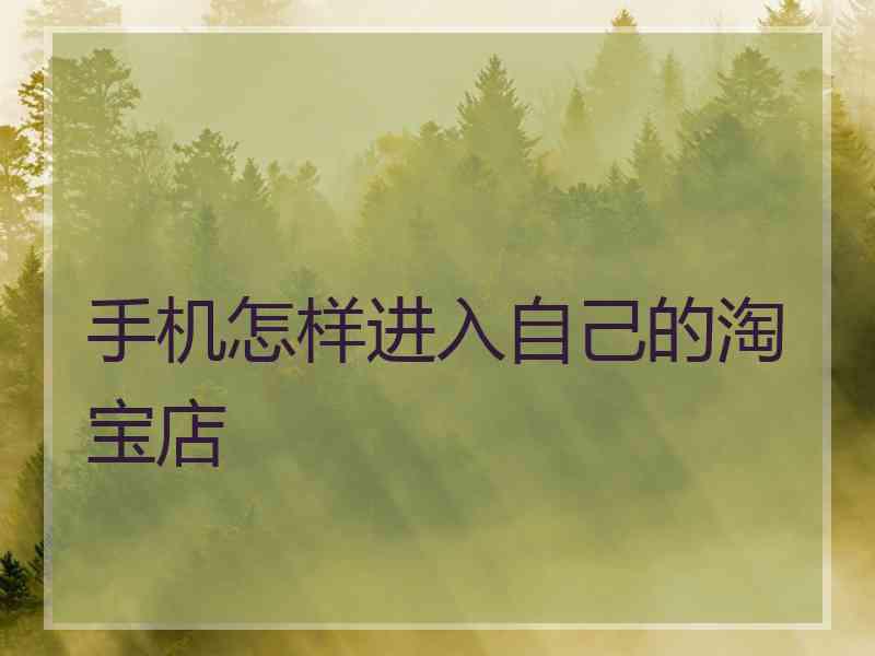 手机怎样进入自己的淘宝店