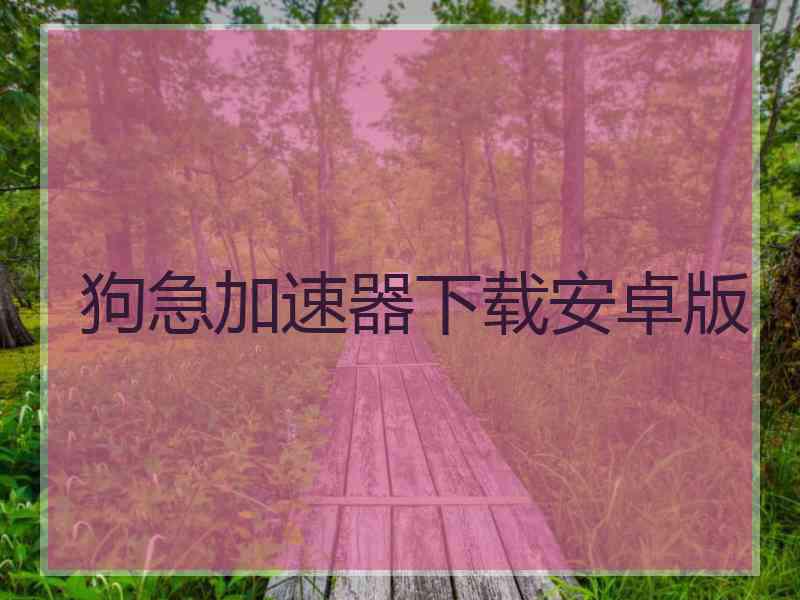 狗急加速器下载安卓版