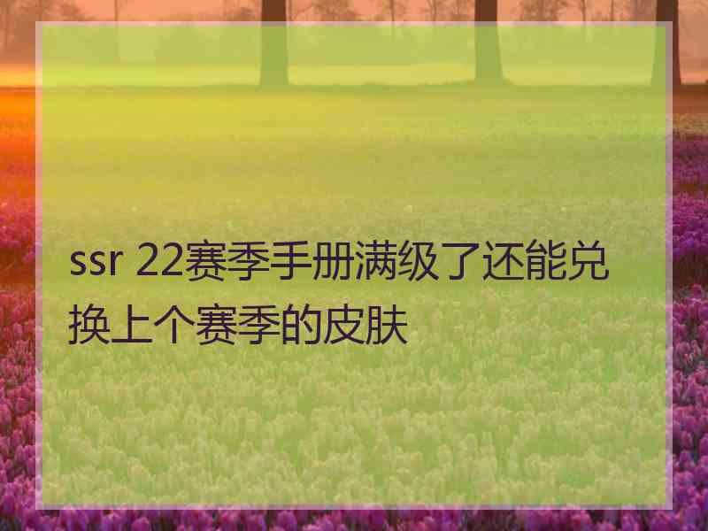 ssr 22赛季手册满级了还能兑换上个赛季的皮肤
