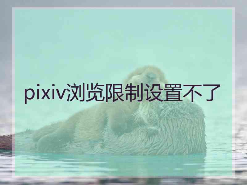 pixiv浏览限制设置不了