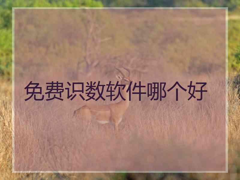 免费识数软件哪个好