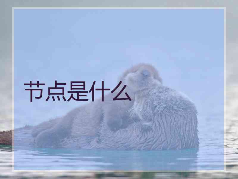 节点是什么