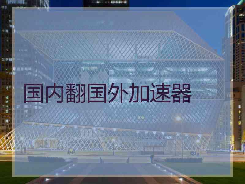 国内翻国外加速器