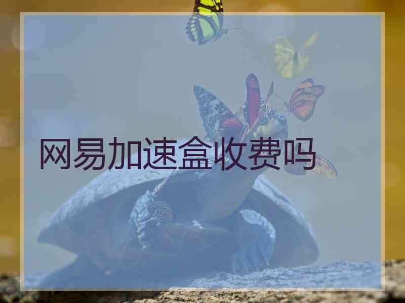 网易加速盒收费吗