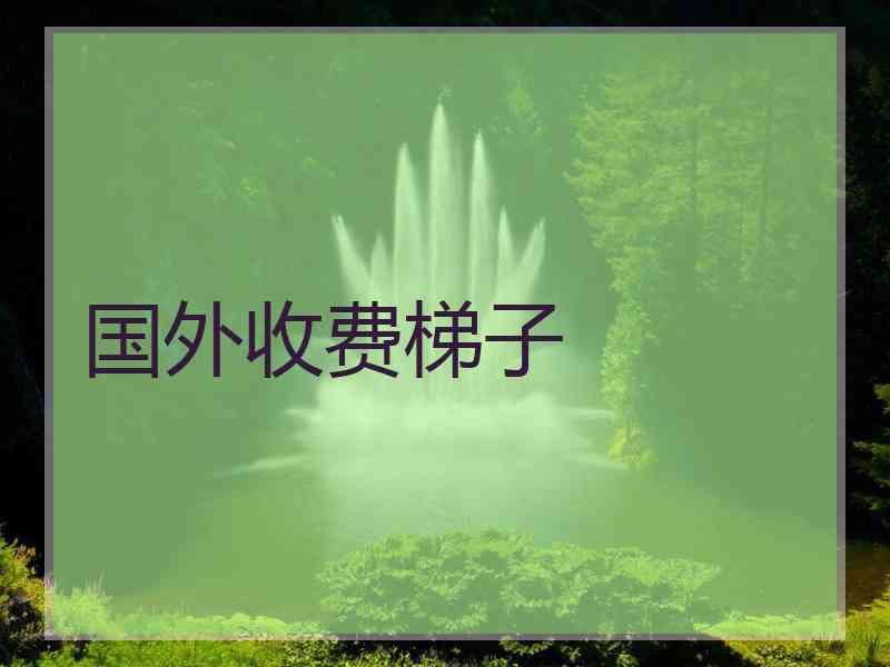 国外收费梯子