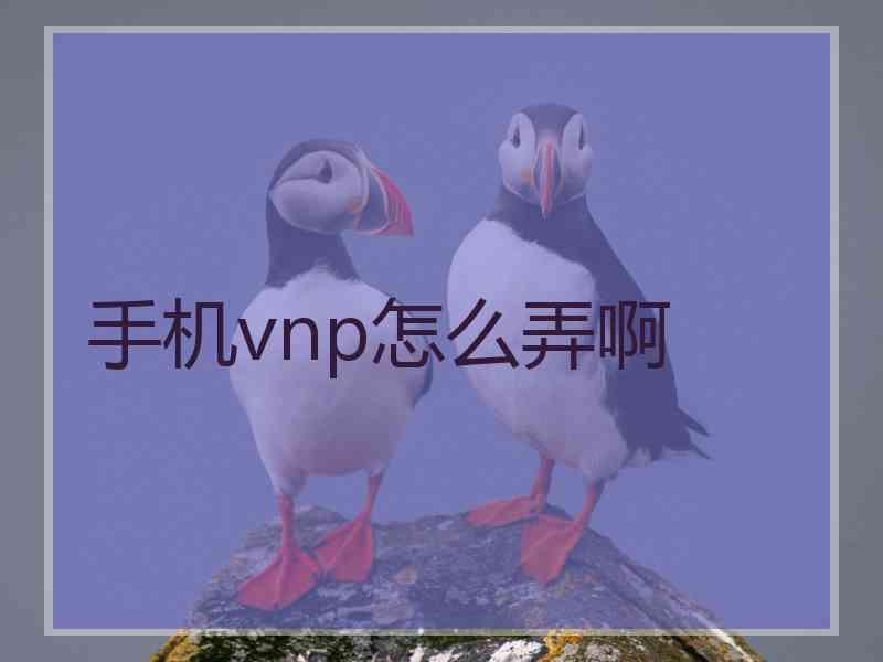 手机vnp怎么弄啊