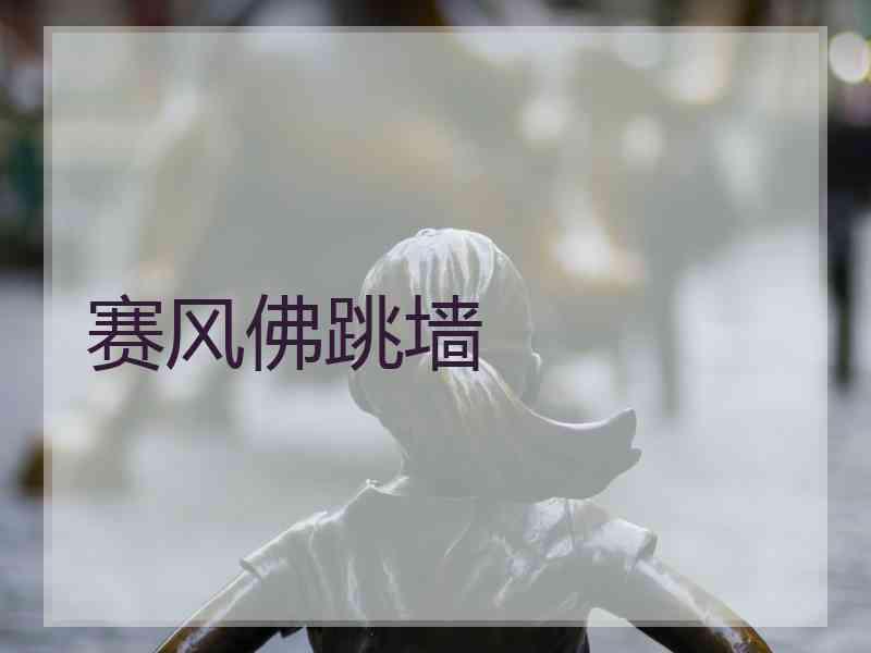 赛风佛跳墙