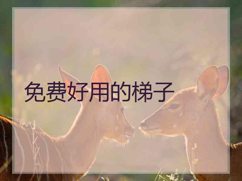 免费好用的梯子