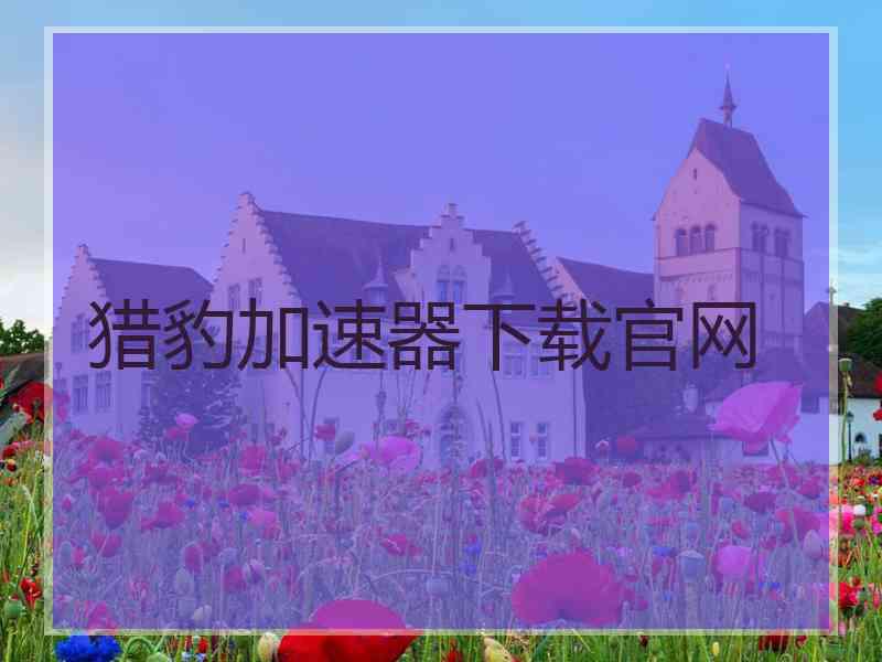 猎豹加速器下载官网