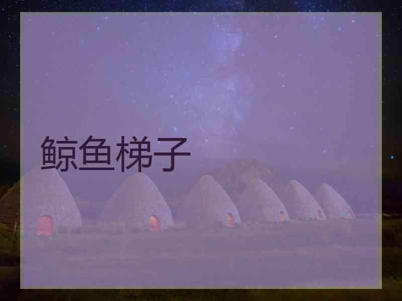 鲸鱼梯子